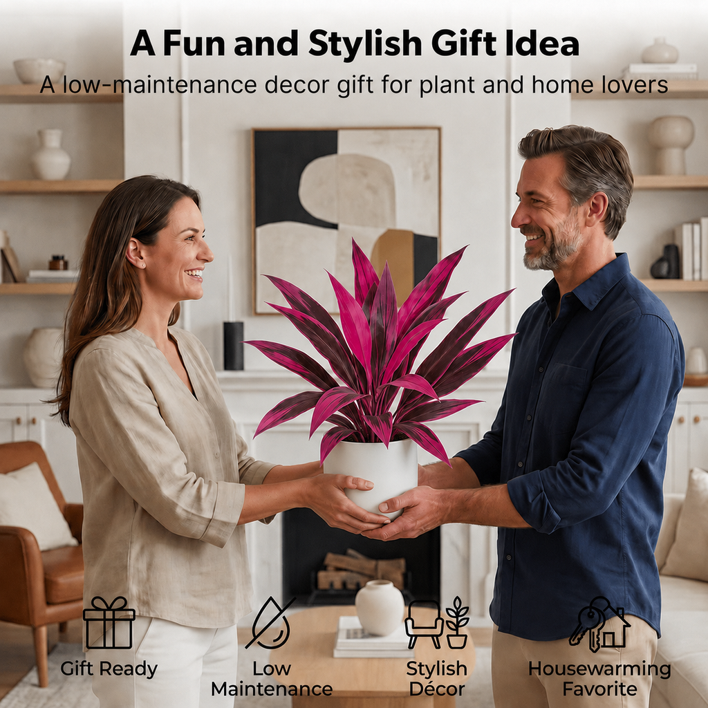 📦📦 Last Day 60% OFF - Artificial Boston Fern & Dragon's Blood Tree Plants