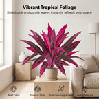 📦📦 Last Day 60% OFF - Artificial Boston Fern & Dragon's Blood Tree Plants