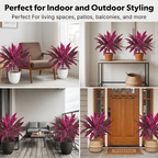 📦📦 Last Day 60% OFF - Artificial Boston Fern & Dragon's Blood Tree Plants